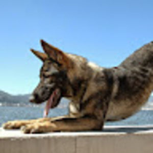 Meet your Posher, Andrew